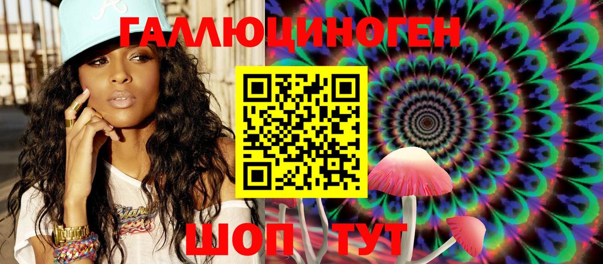 Псилоцибиновые грибы Psilocybine cubensis Новоалтайск