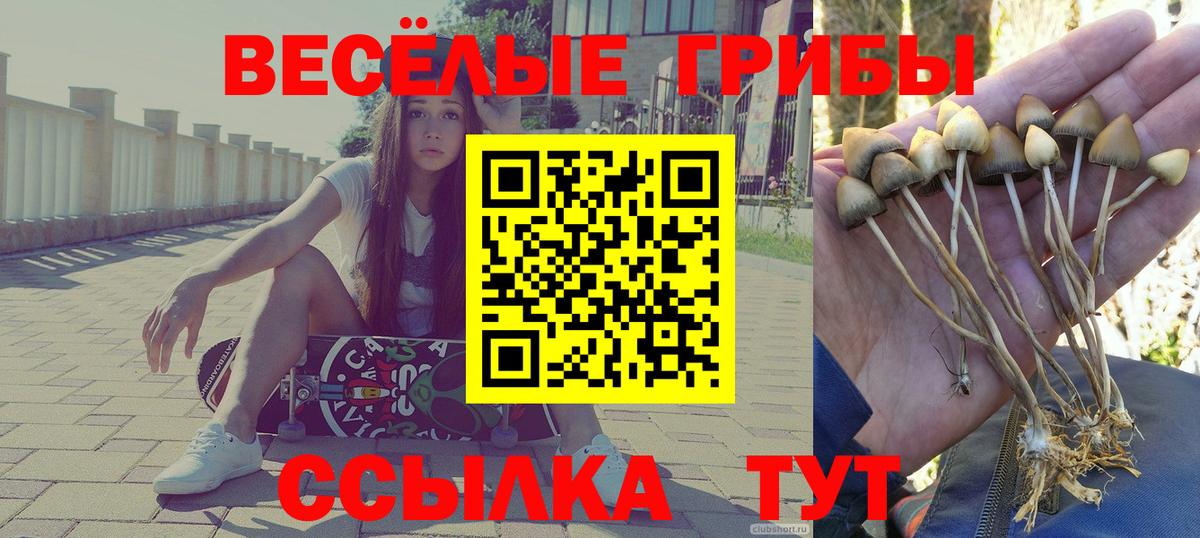 Новоалтайск  Псилоцибиновые грибы ЛСД  Вход с VPN 