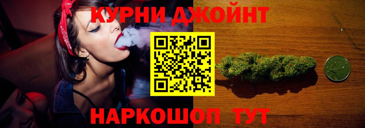 Каннабис сатива Новоалтайск